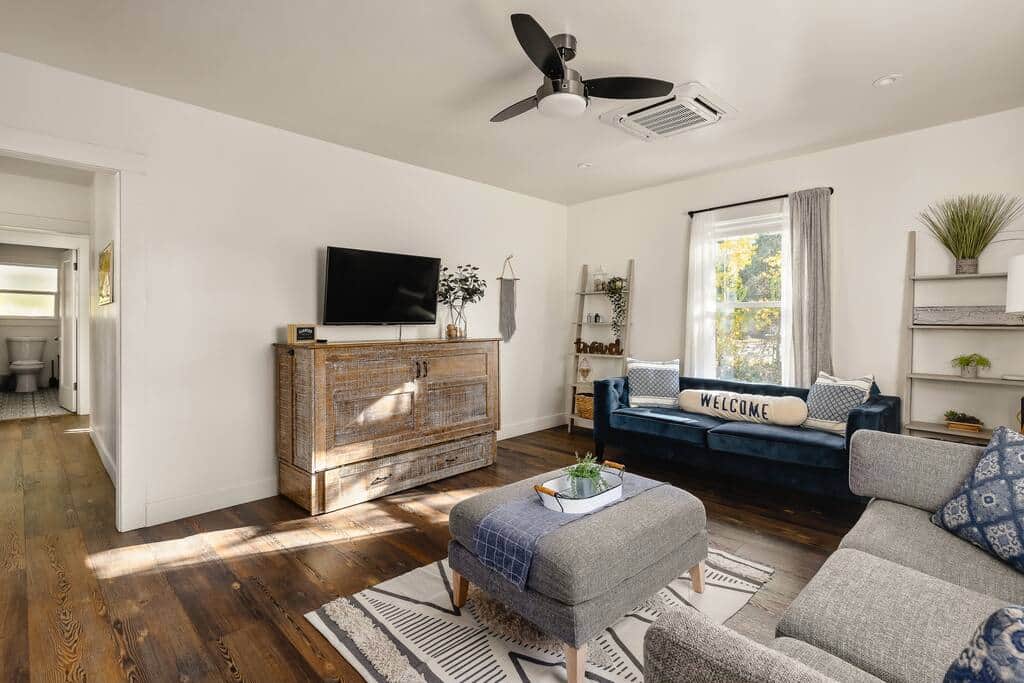 Smart TV and Murphy Bed cabinet