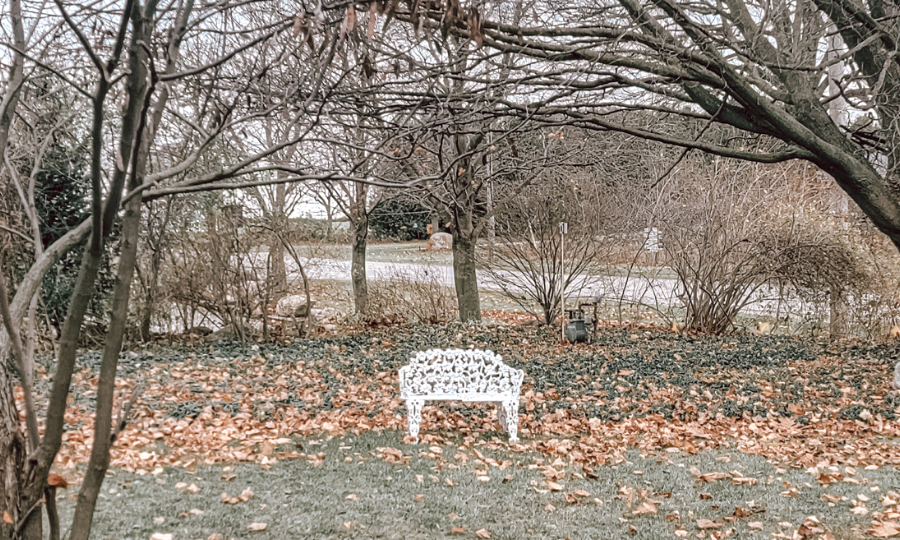 Bonnieheath Estate Lavender & Winery Bed and Breakfast