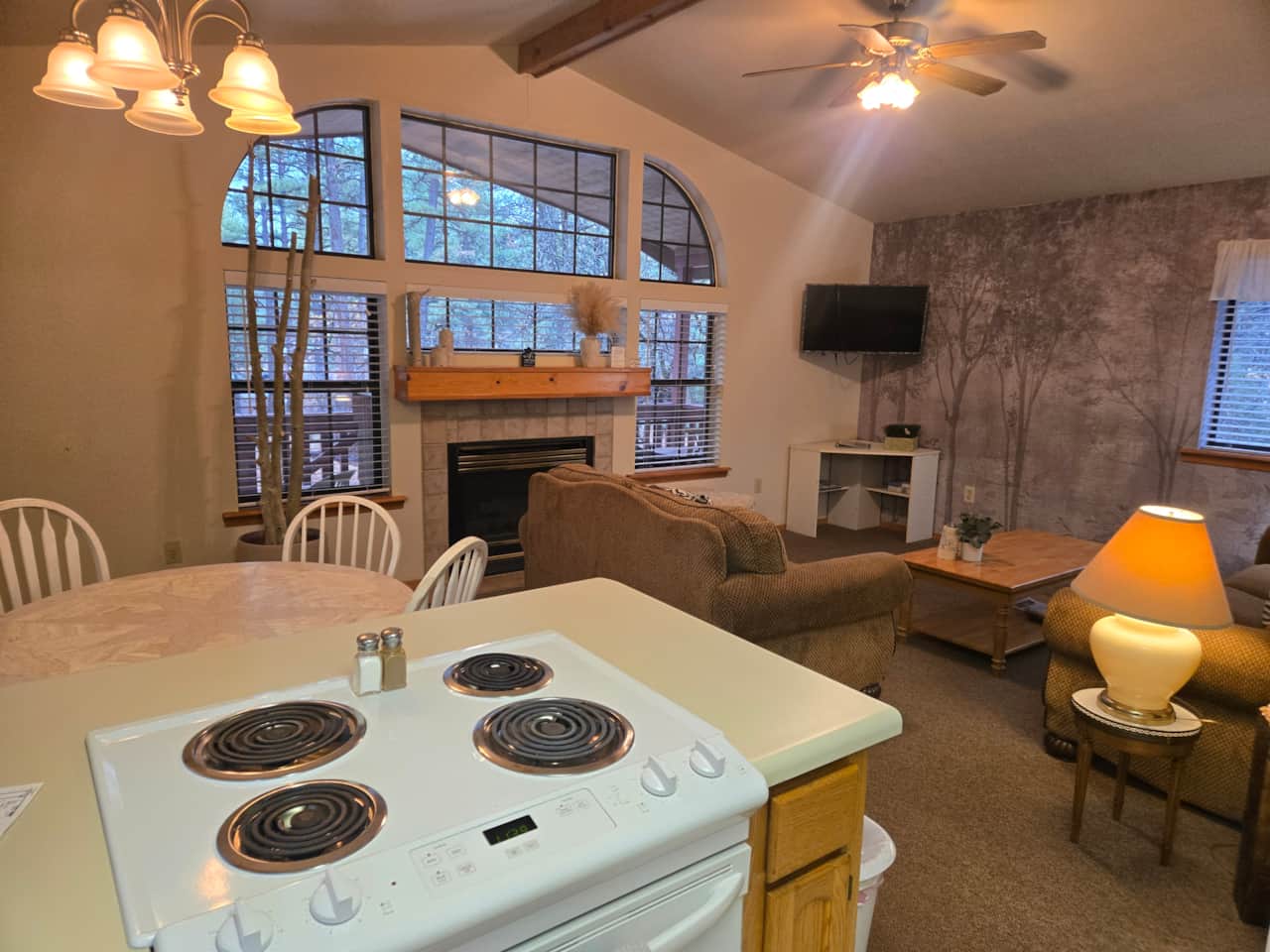 Cabin 14 Living Room with Fireplace