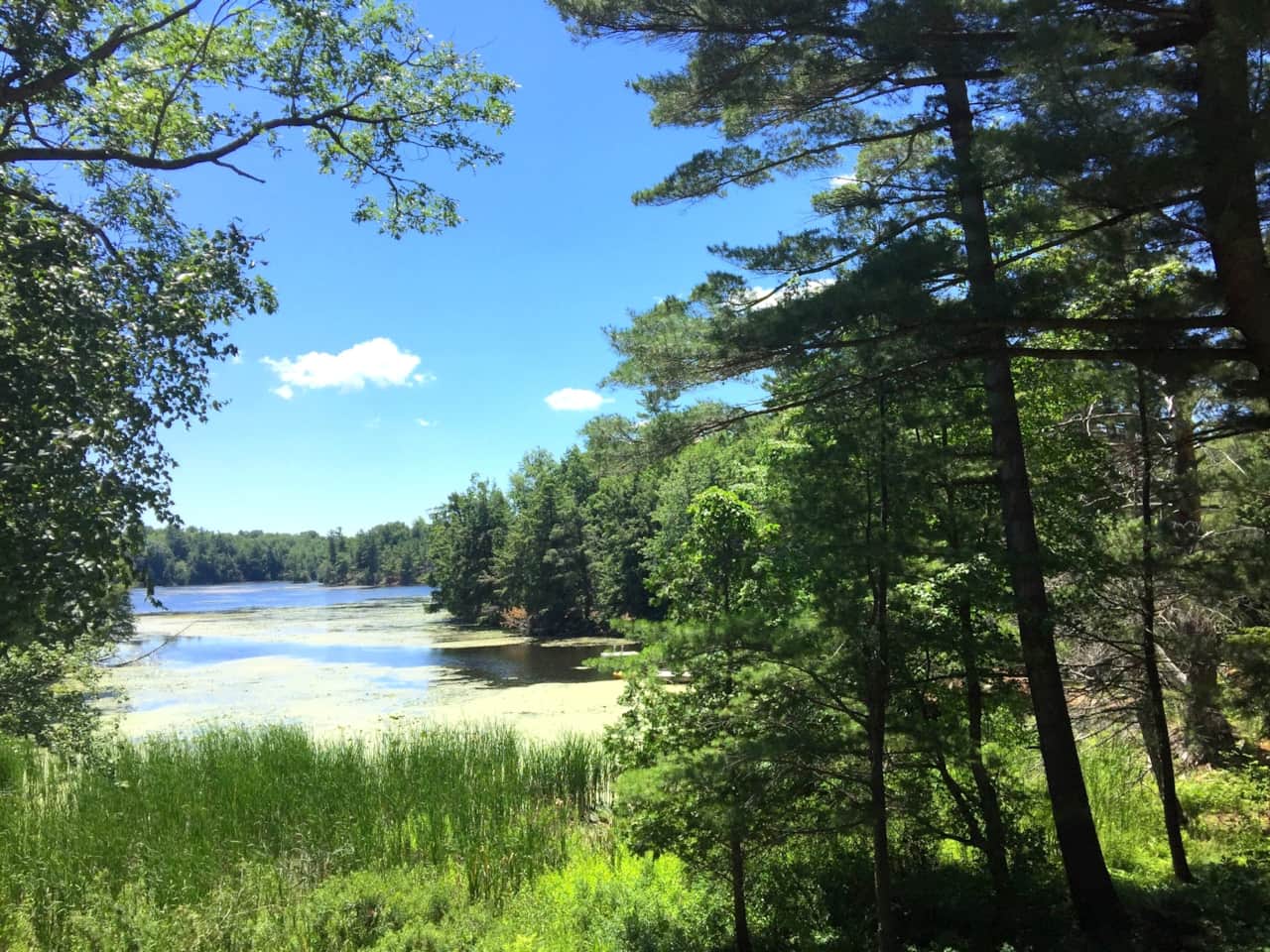 lake view