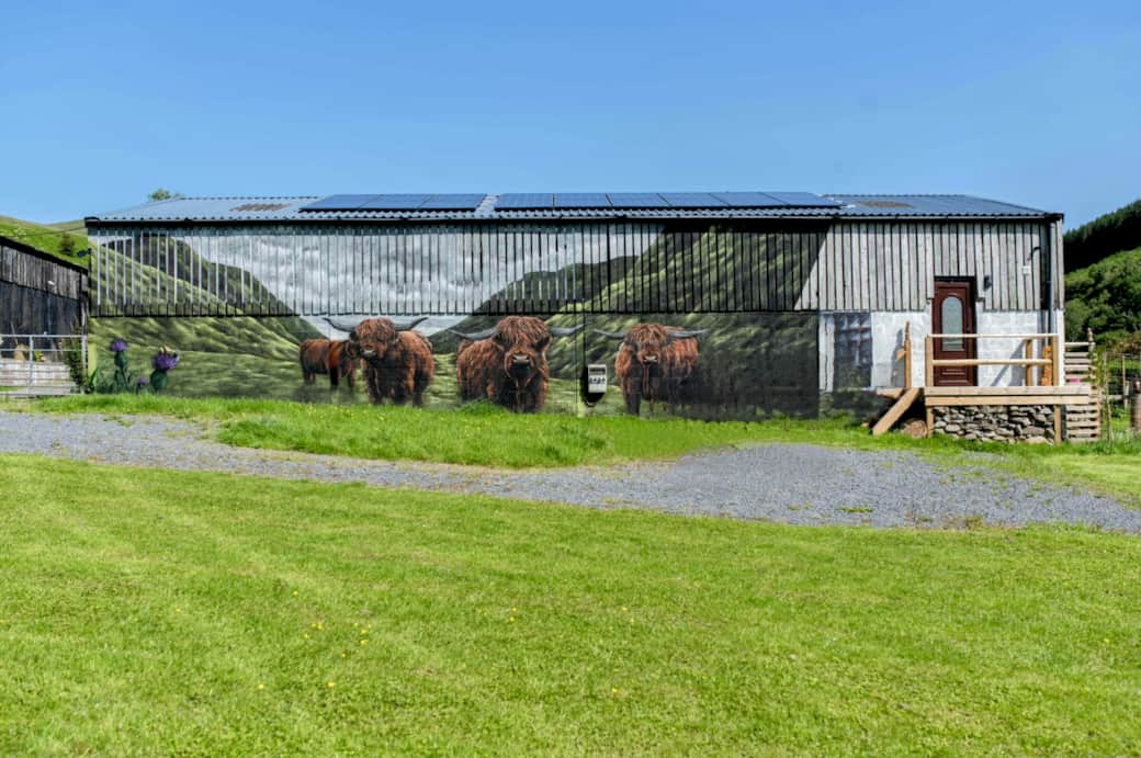 The Coo Shed