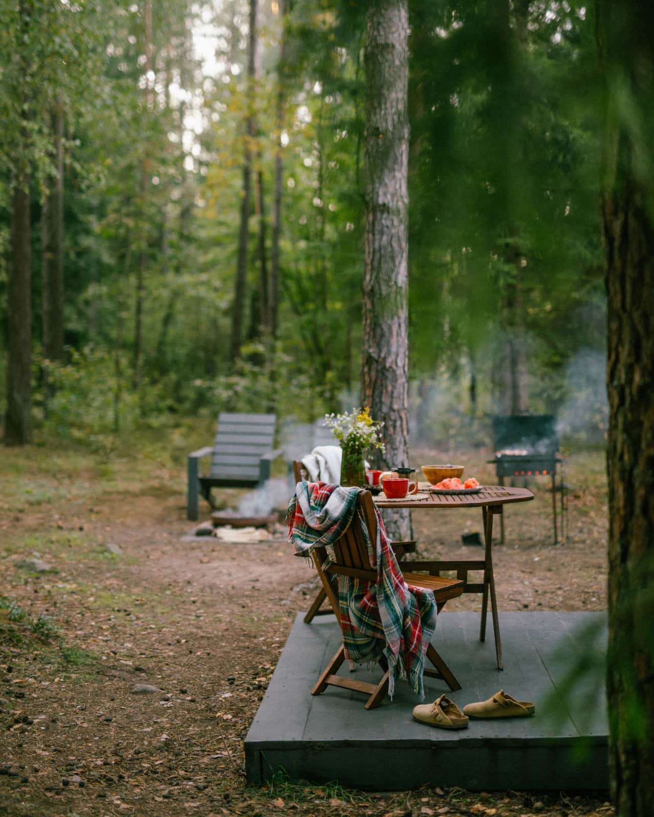 Forest therapy - a cottage under a pine tree