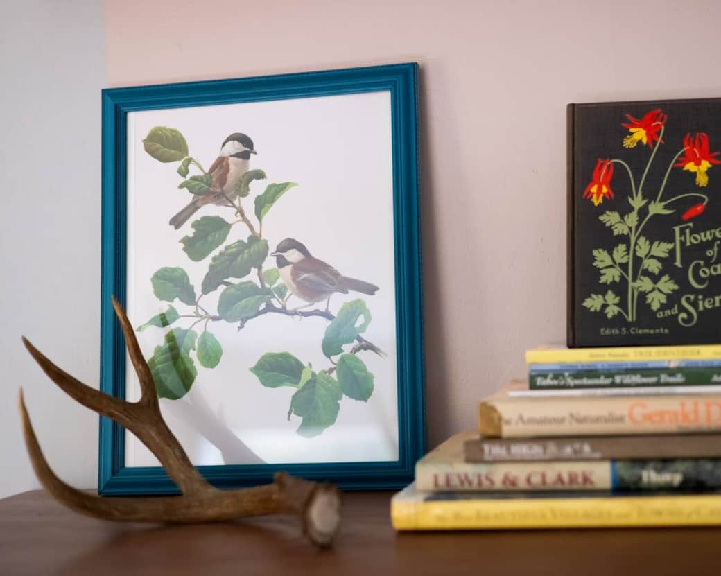 "The place was curated so nicely and had such a cozy and welcoming feel to it."  - guest review