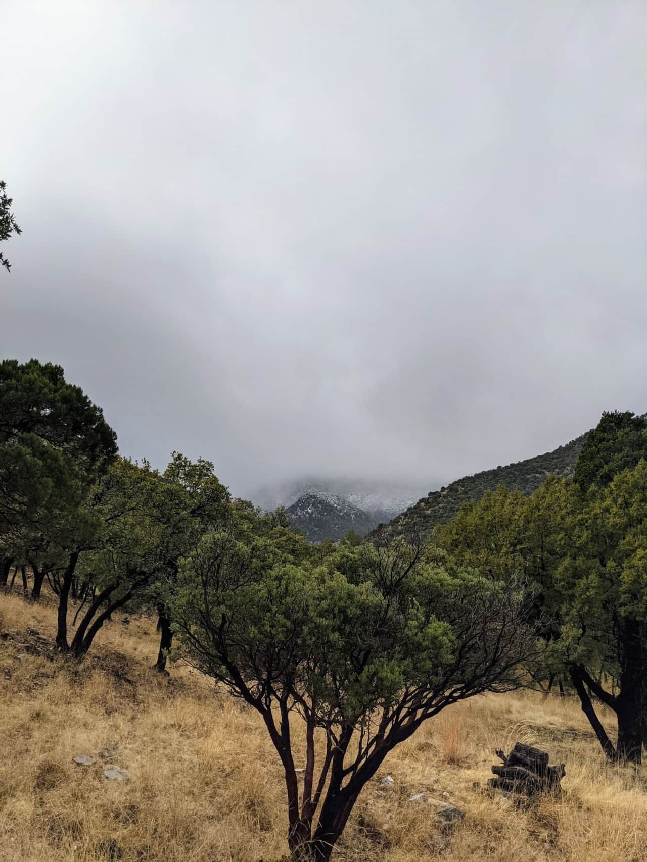 Snow capped Ramsey Canyon Peak in the distance.