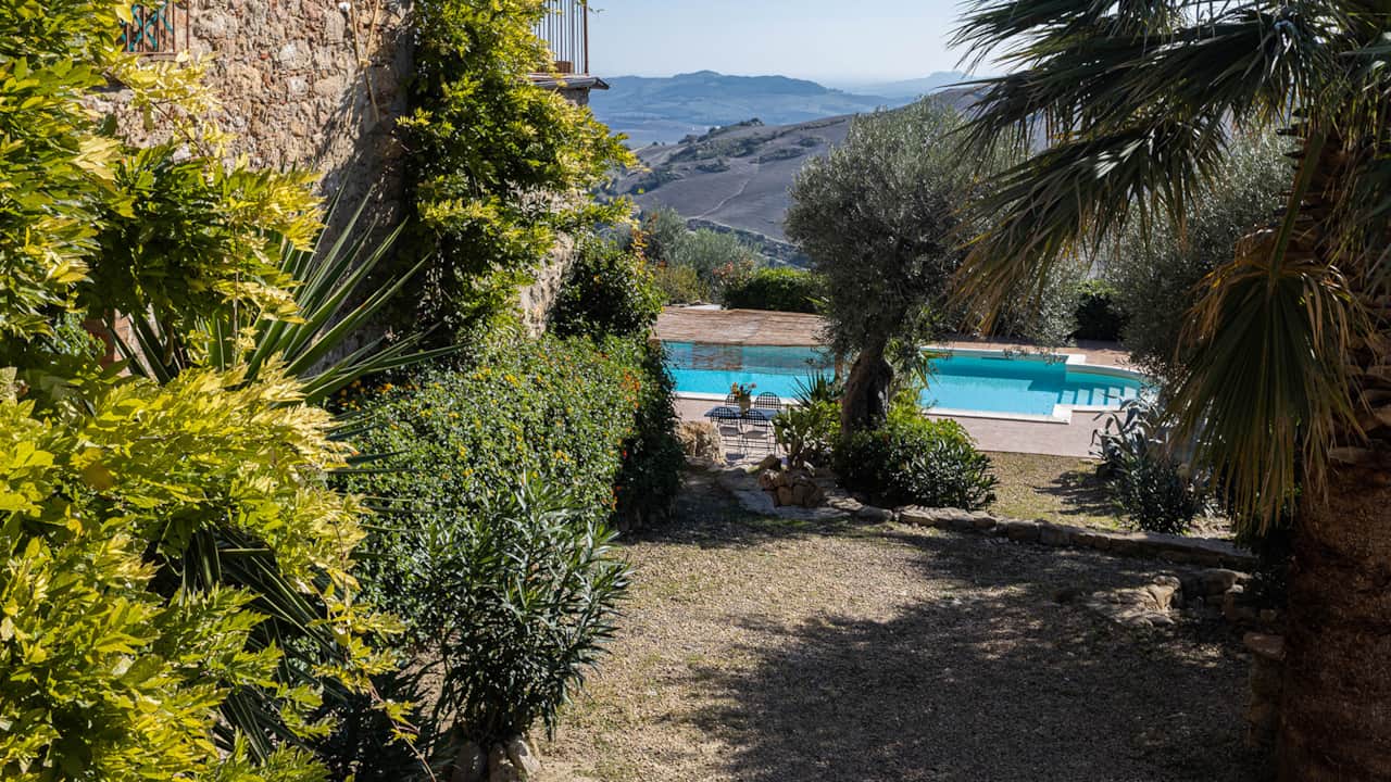 Sentiero in giardino verso la piscina, tra ulivi e natura.