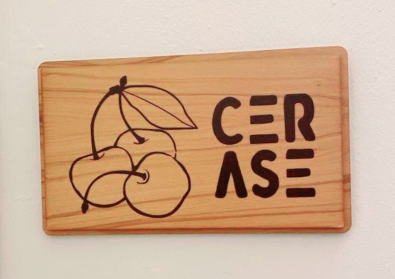 Camera_Cerase_5