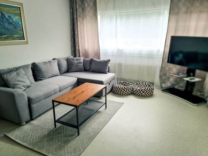 Apartment Nika