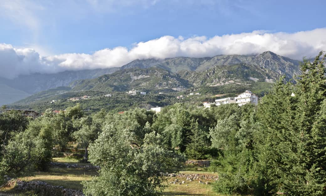 DSC 1590 copy DSC 1590 copy