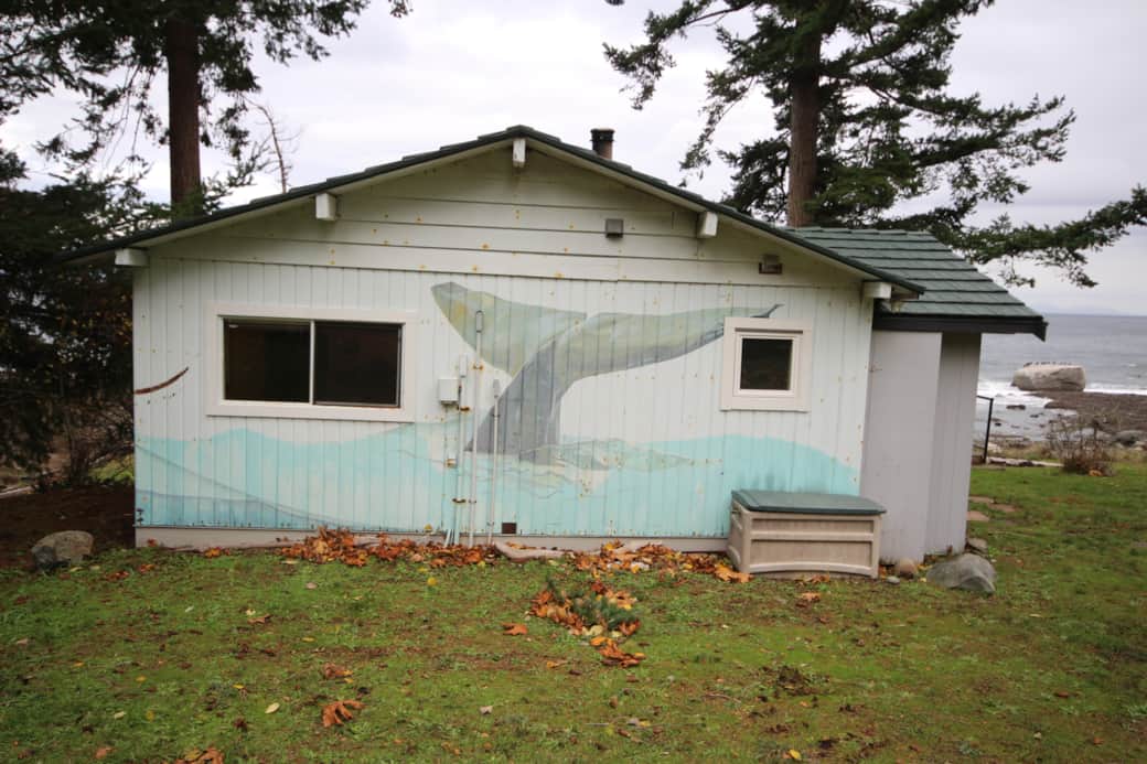Whale Tale mural