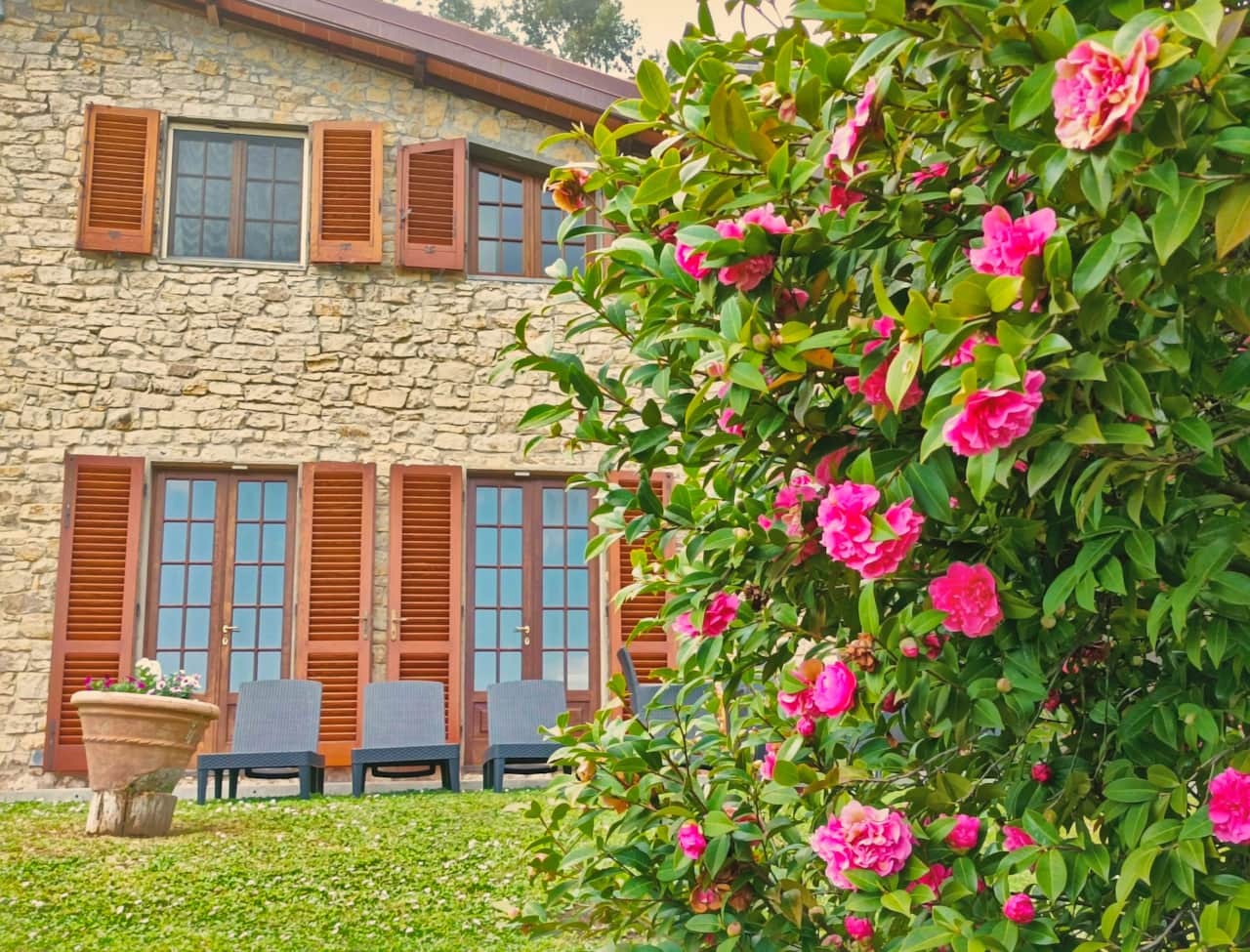 Villa camelia tuscany camellia tree_01