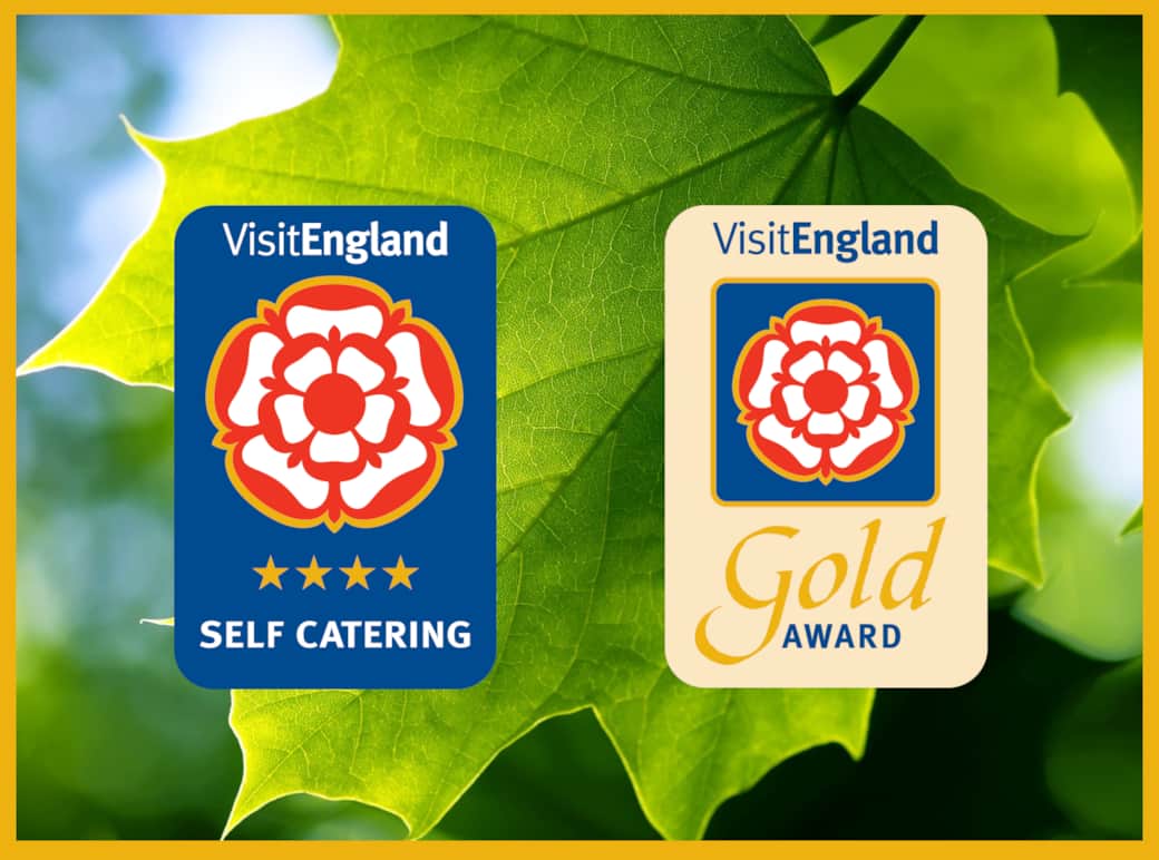 The Green Leaf Apartment Gallery