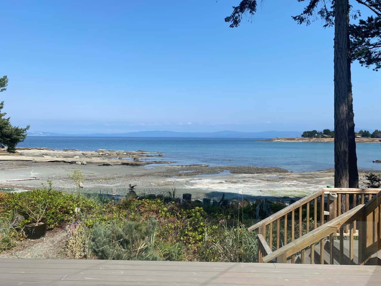 Deck view