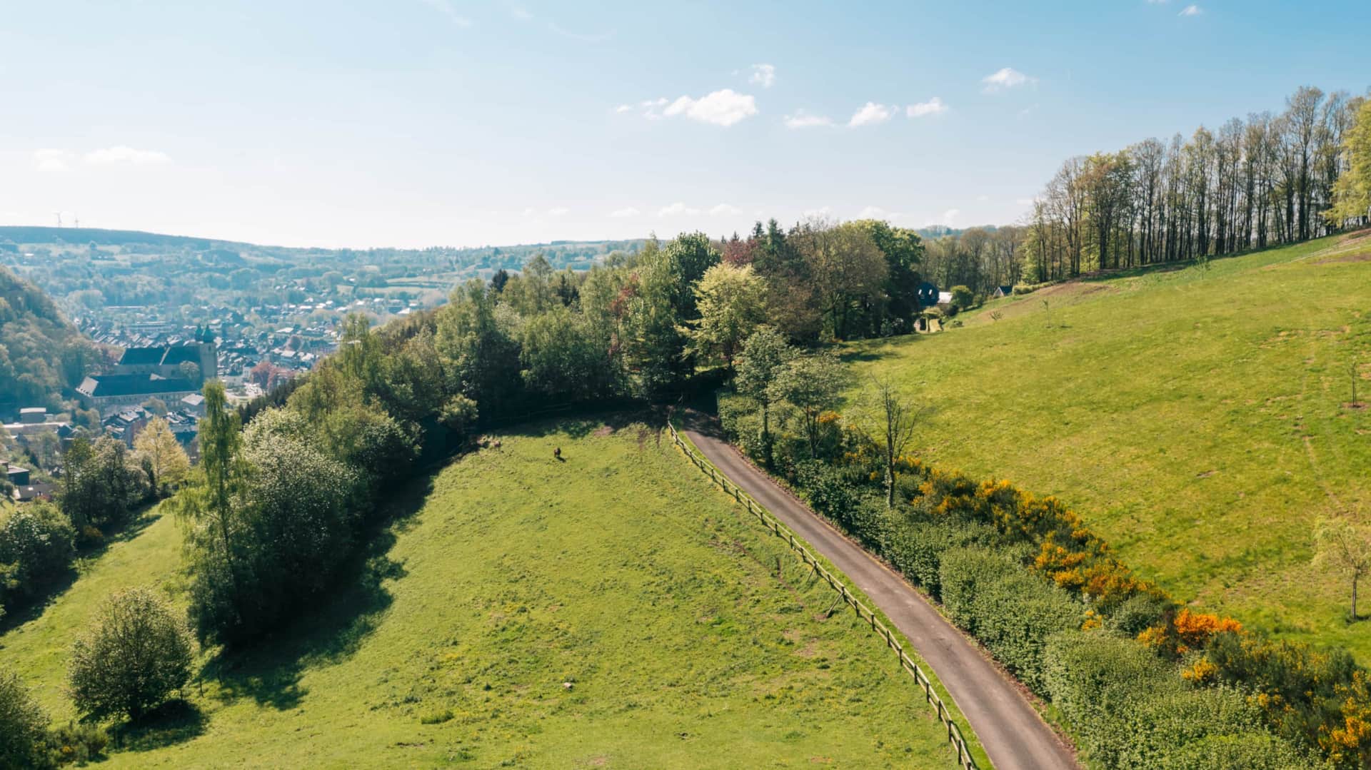 Bospad nabij Malmedy in de Belgische Ardennen