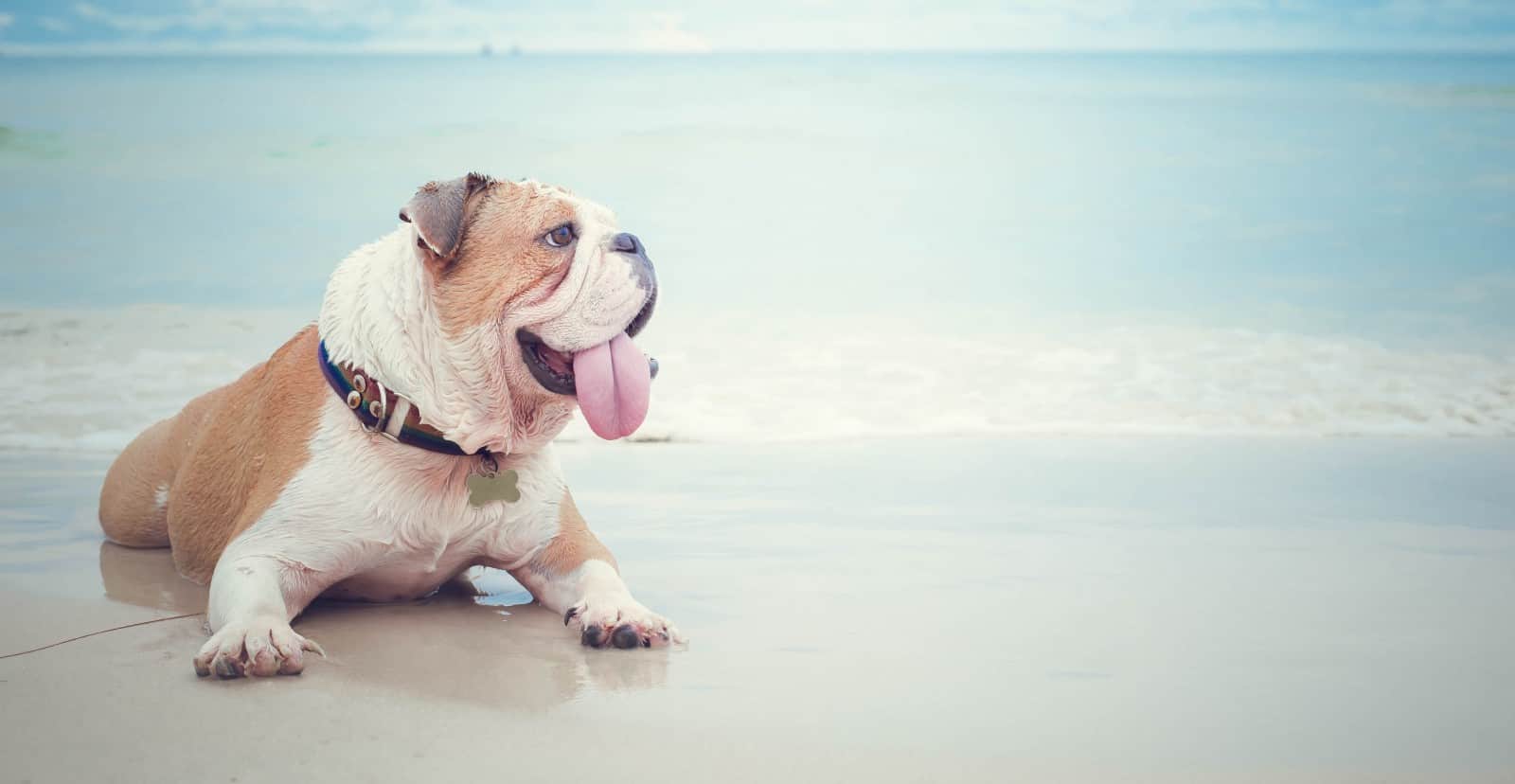 North Myrtle Beach Vacation Rentals in South Carolina