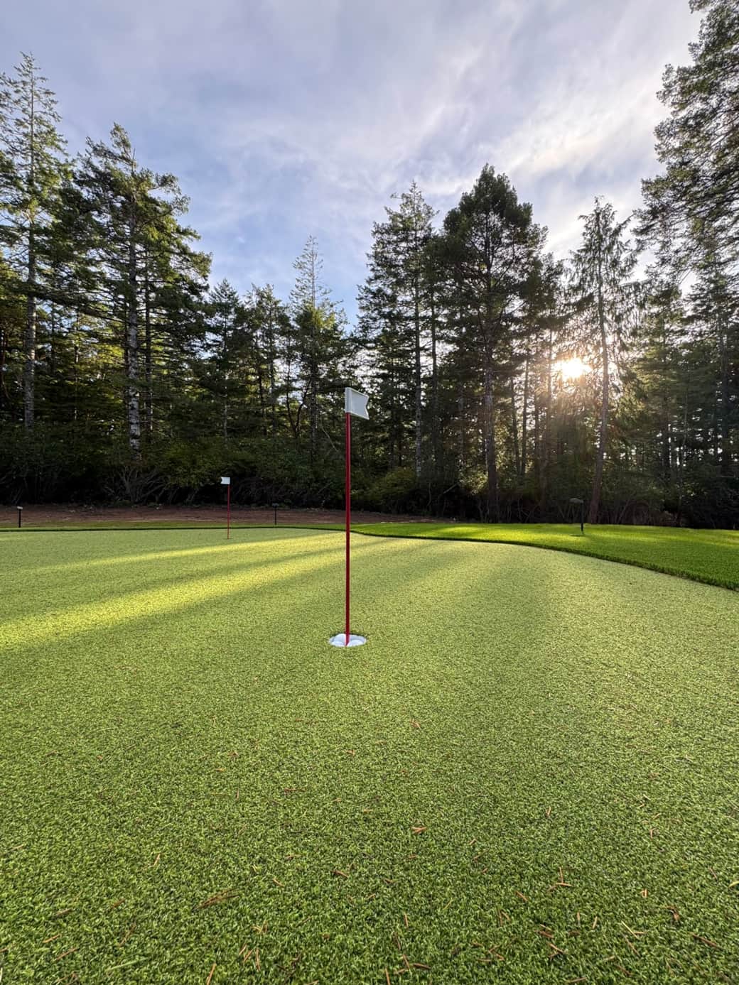 Backyard putting green