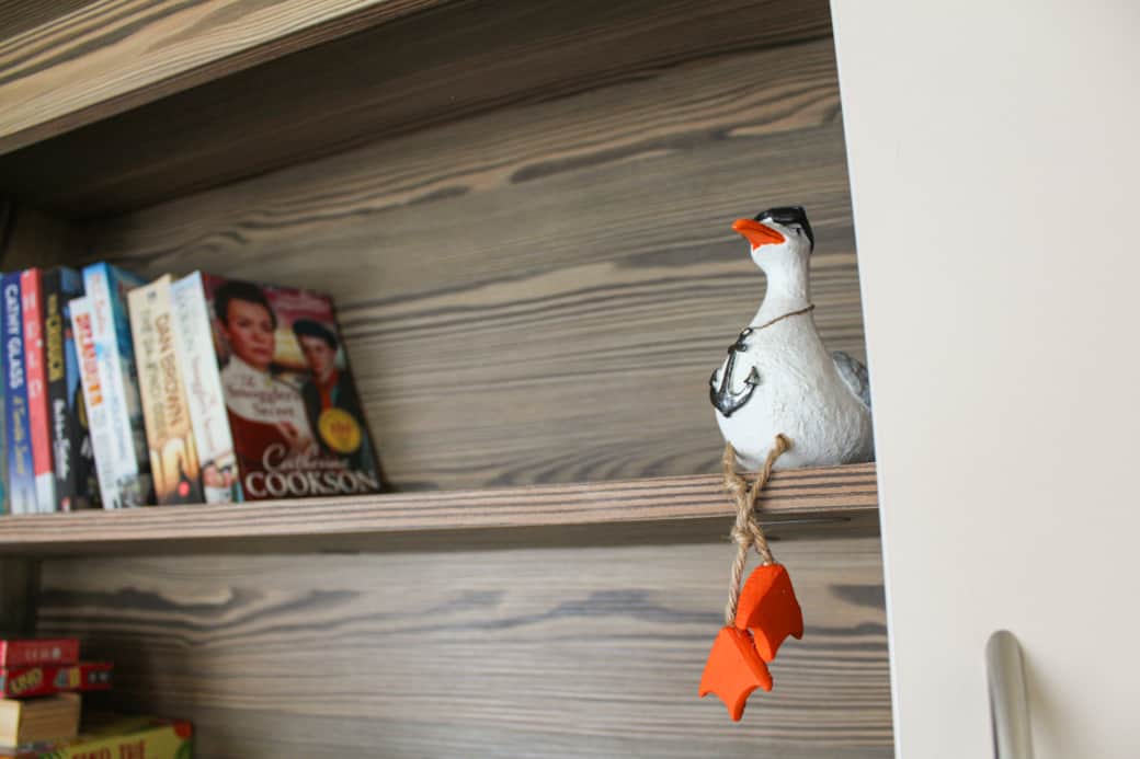Seagull