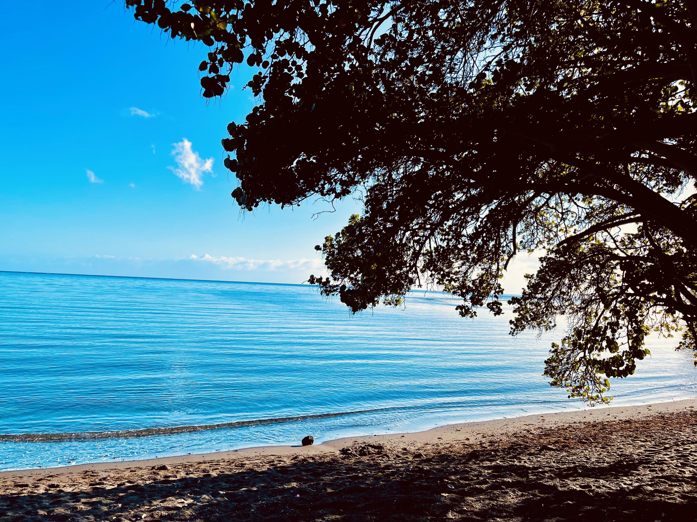 Tahiti様② Tahiti (France) Full Year 2015: Ranger and Duster resist Hilux