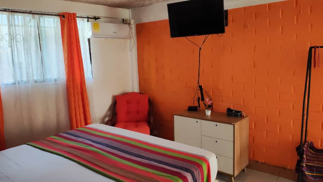 WhatsApp Image 2025-11-09 at 17.14