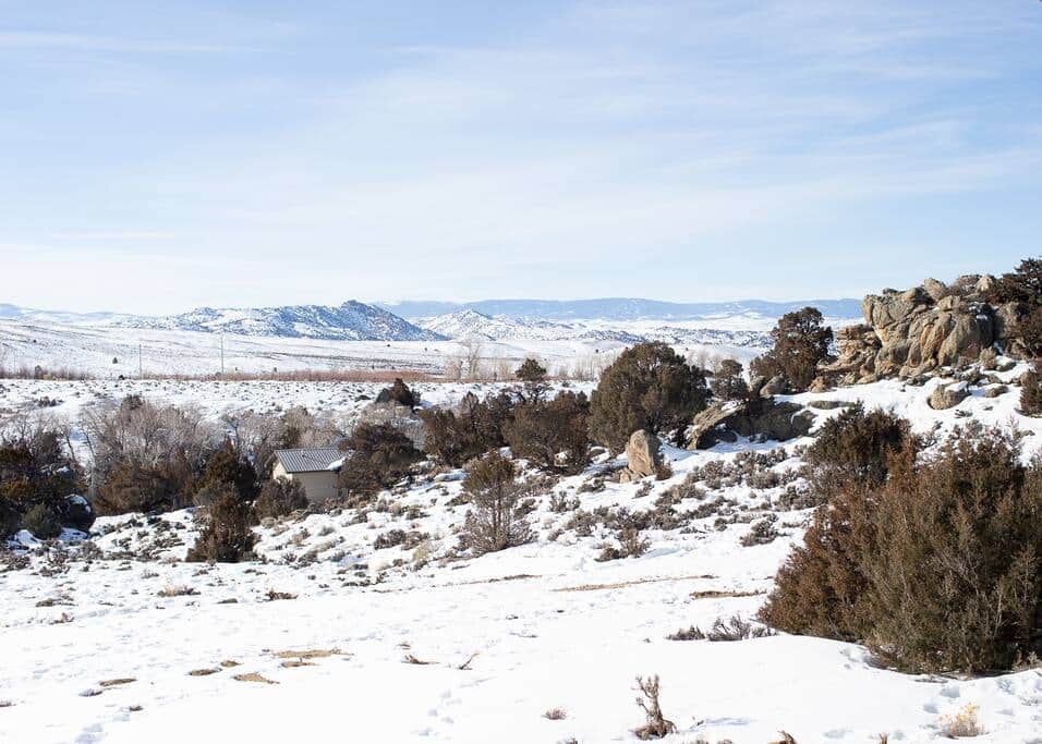 winter view from the porch