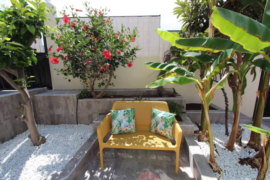 Front garden Front garden