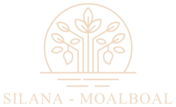 Villa Silana