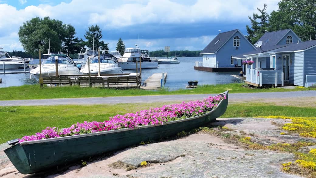 Canoe Flowers