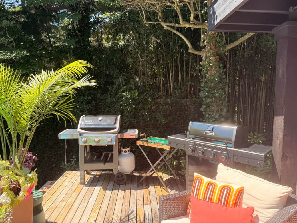 BBQ Grills 