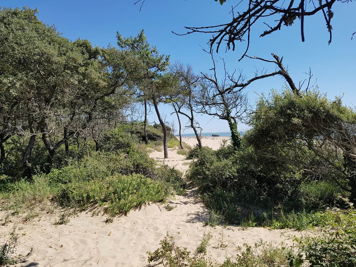 La Côte sauvage 