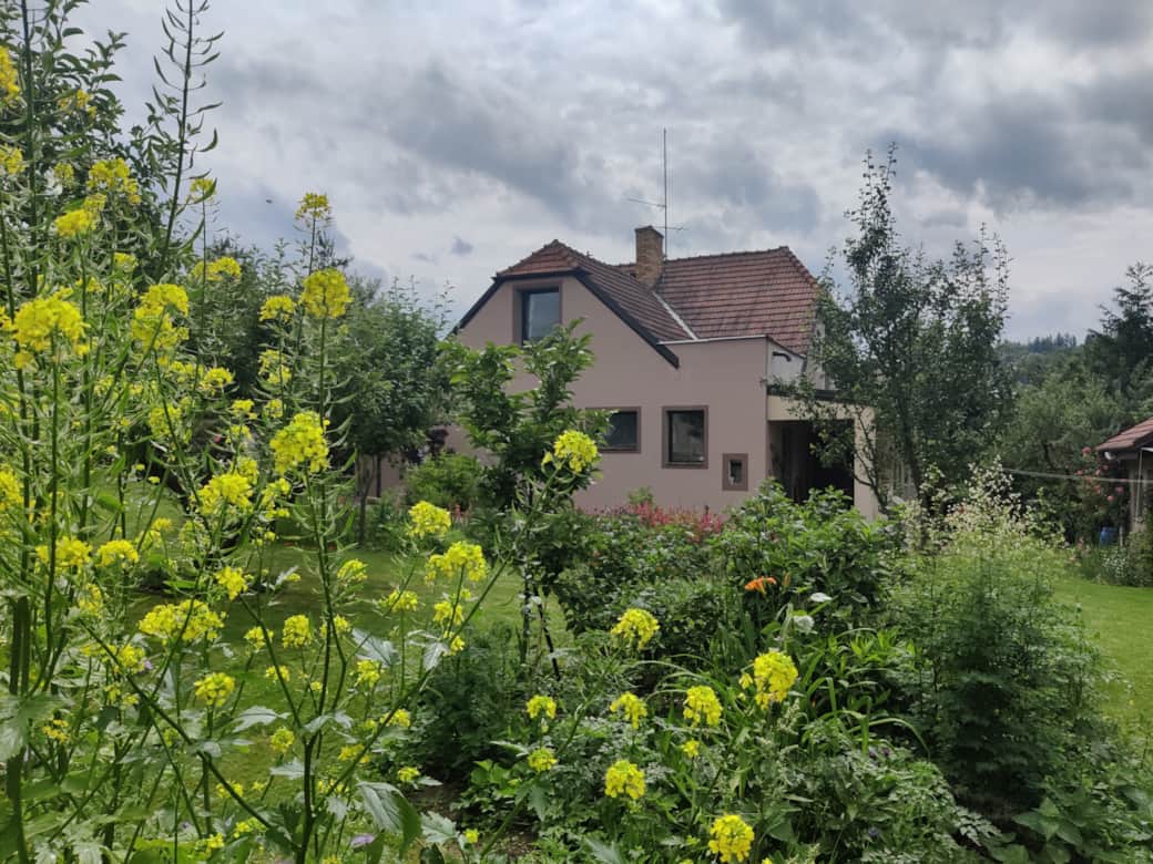 lots of space in the garden