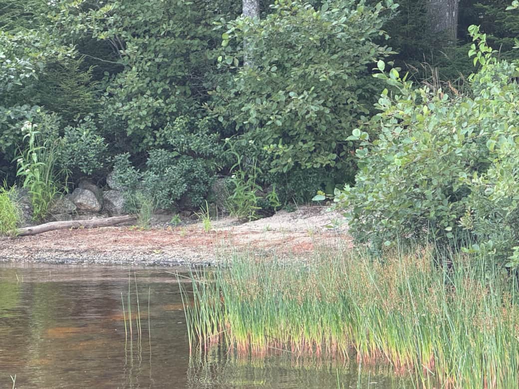 The shallow beach viewed from the dock. The shallow beach viewed from the dock.