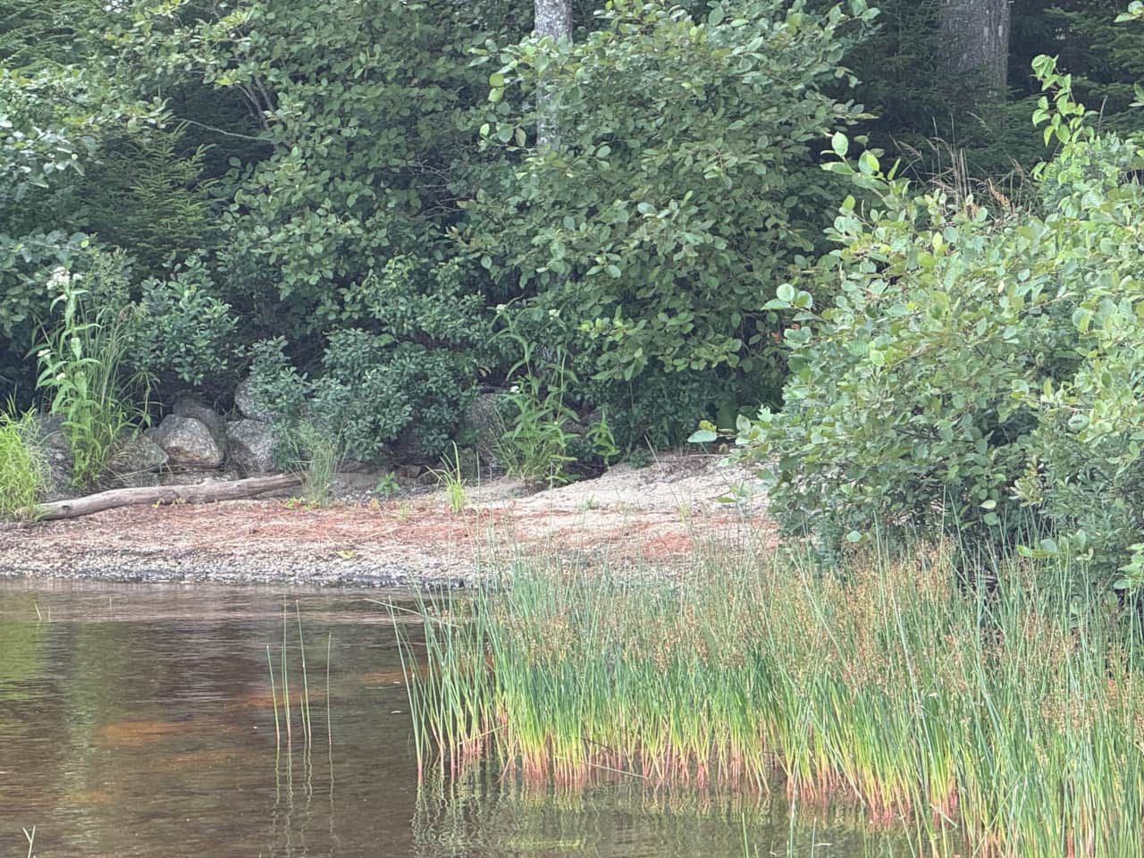 The shallow beach viewed from the dock.