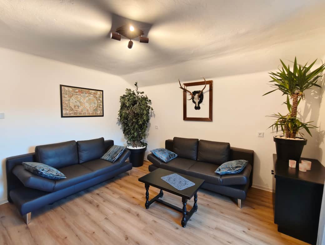 Wohnzimmer mit Couches Wohnzimmer mit Couches