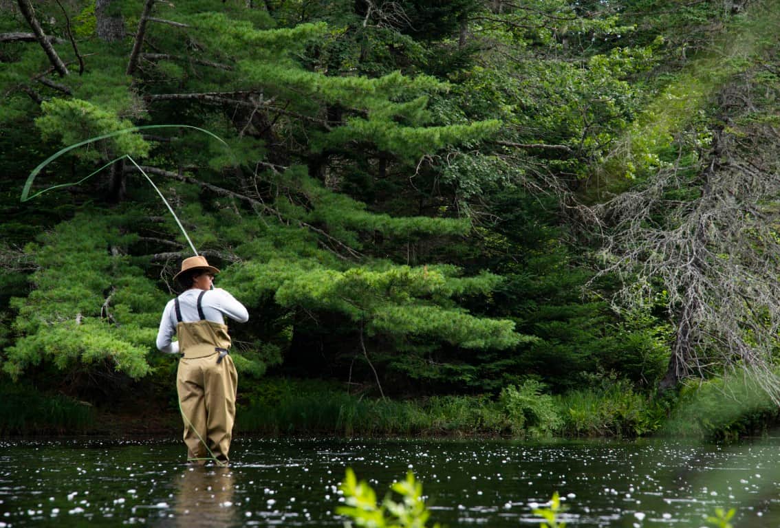 Fly Fishing for Trout St. Mary's River