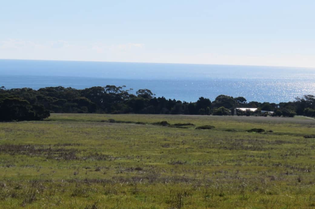 View of the house from the hill