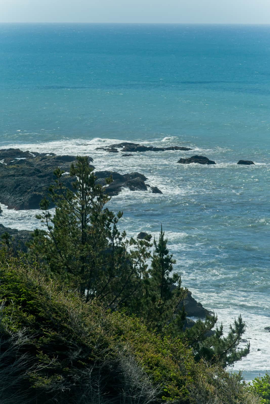 Little Black Sands Beach in Shelter Cove, CA