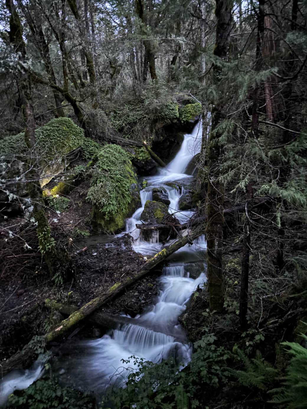 Wild Ginger Falls Wild Ginger Falls