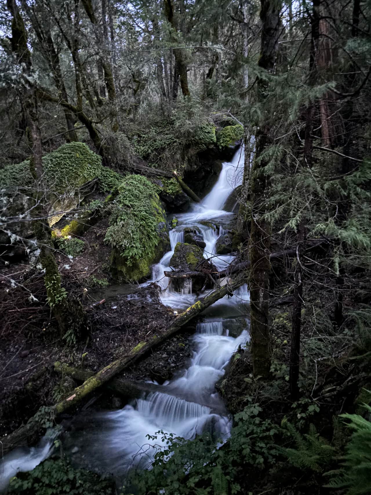 Wild Ginger Falls