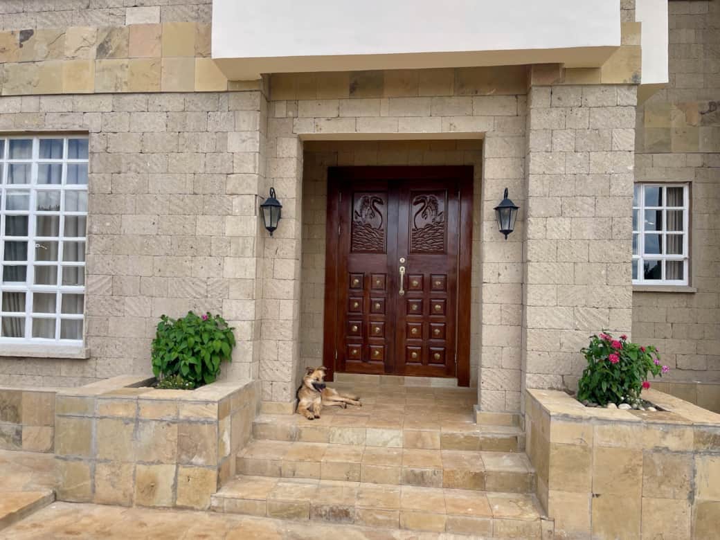 AC2BA69A 3EB1 415C B87C 3C75AC417C7F