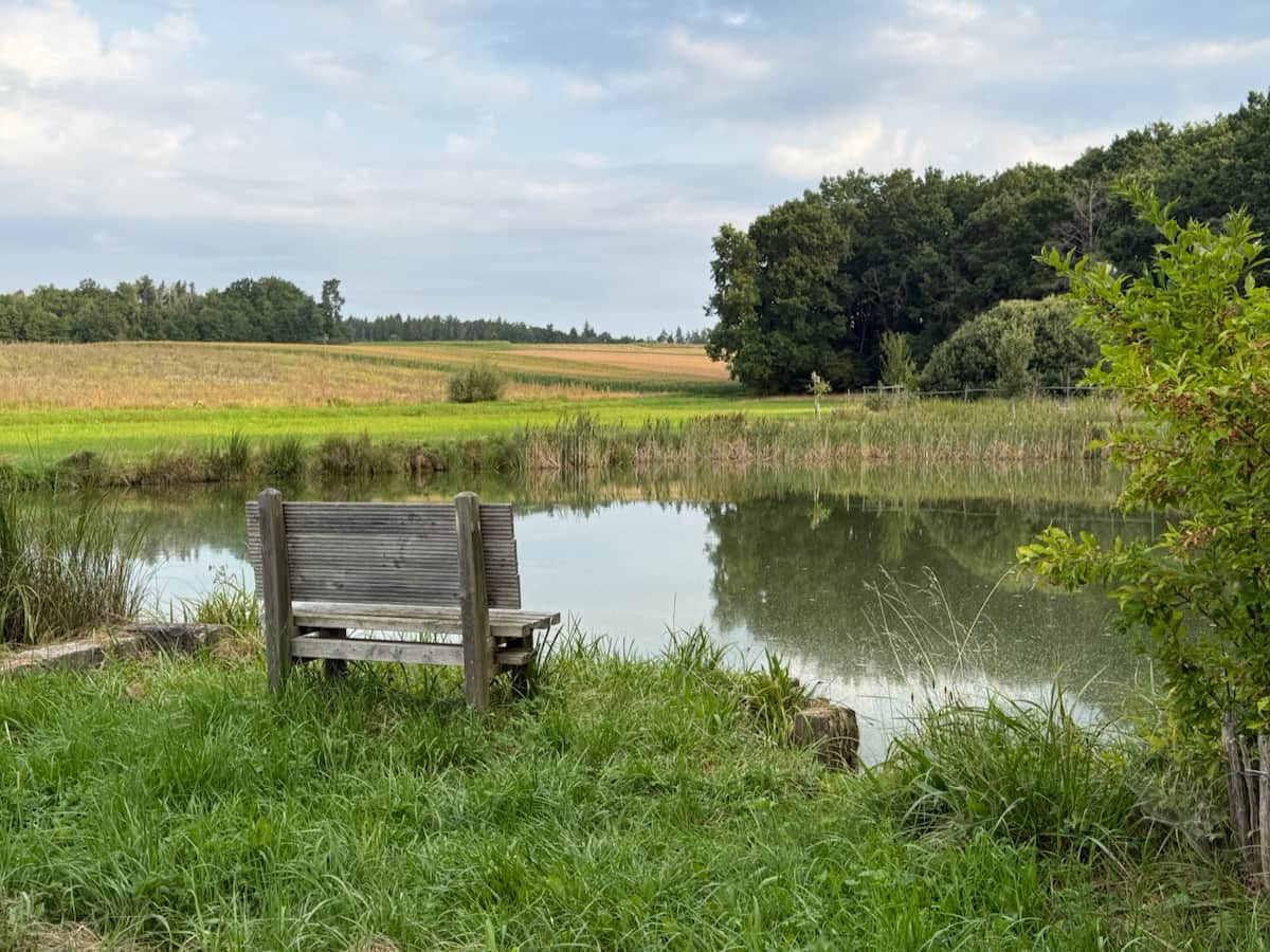 Immer wieder Wasser Immer wieder Wasser
