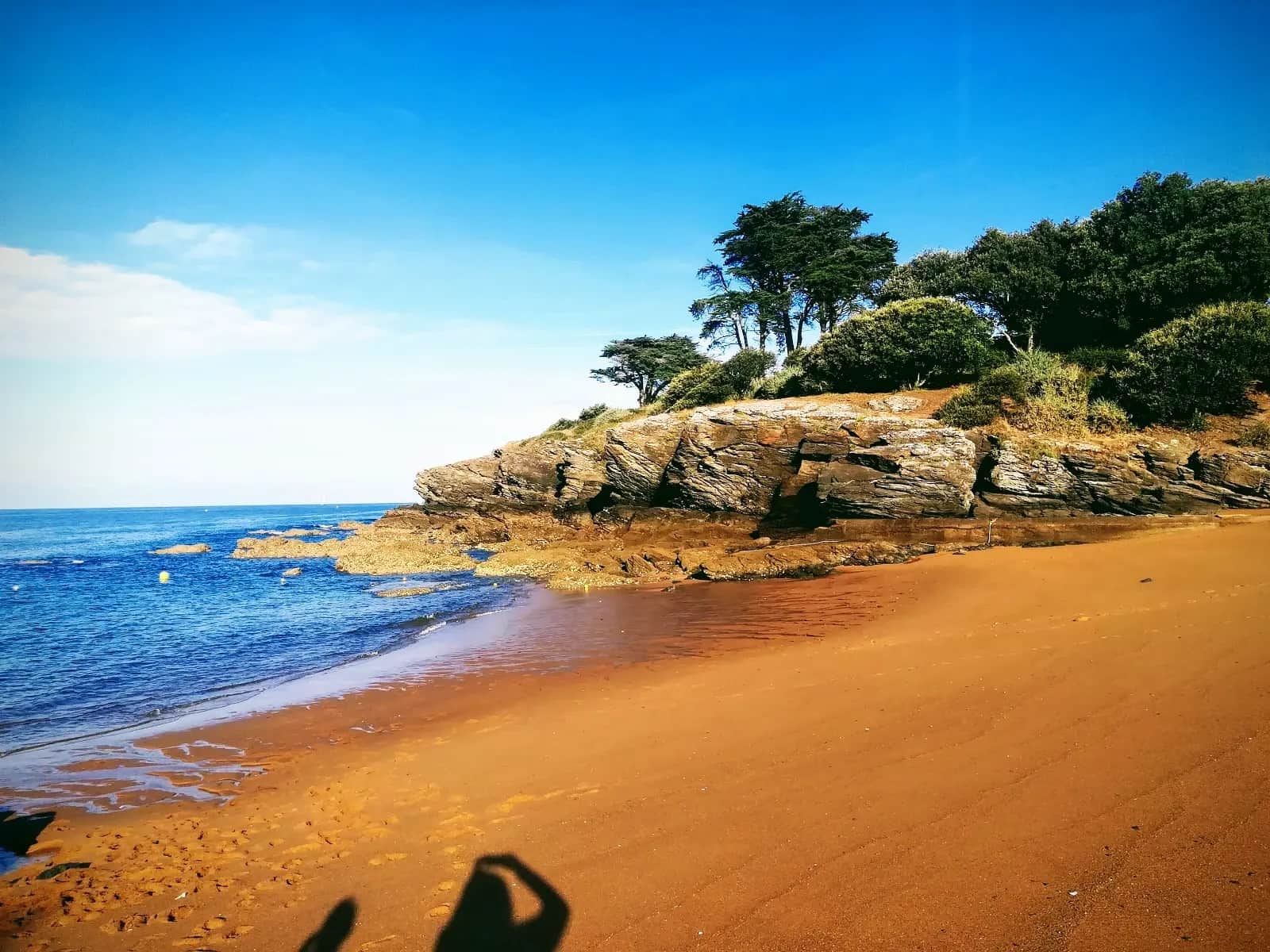 https://l.icdbcdn.com/oh/2399cd81-5fa1-4a98-a7c6-4c0f5577d70d.jpg?w=2080-0