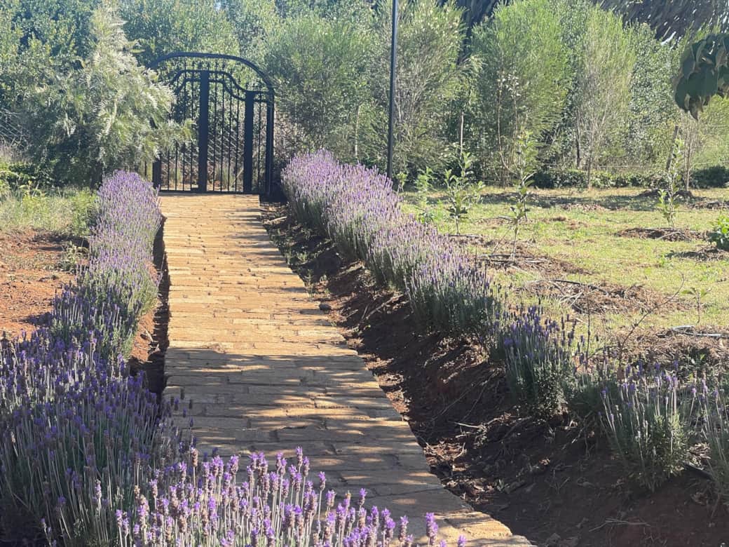 EB1F0680 729E 4114 8382 3A130B6E5671