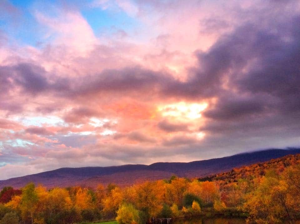 Foliage wow