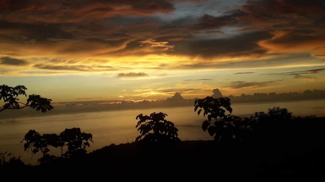 SUNSET PAVON SUNSET PAVON