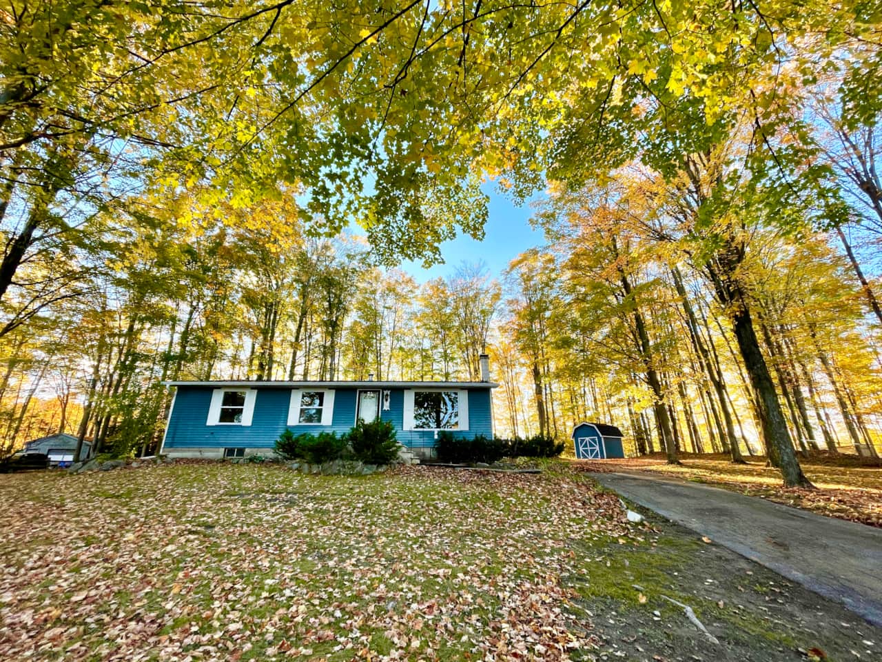 This home is surrounded by towering sugar maple trees.