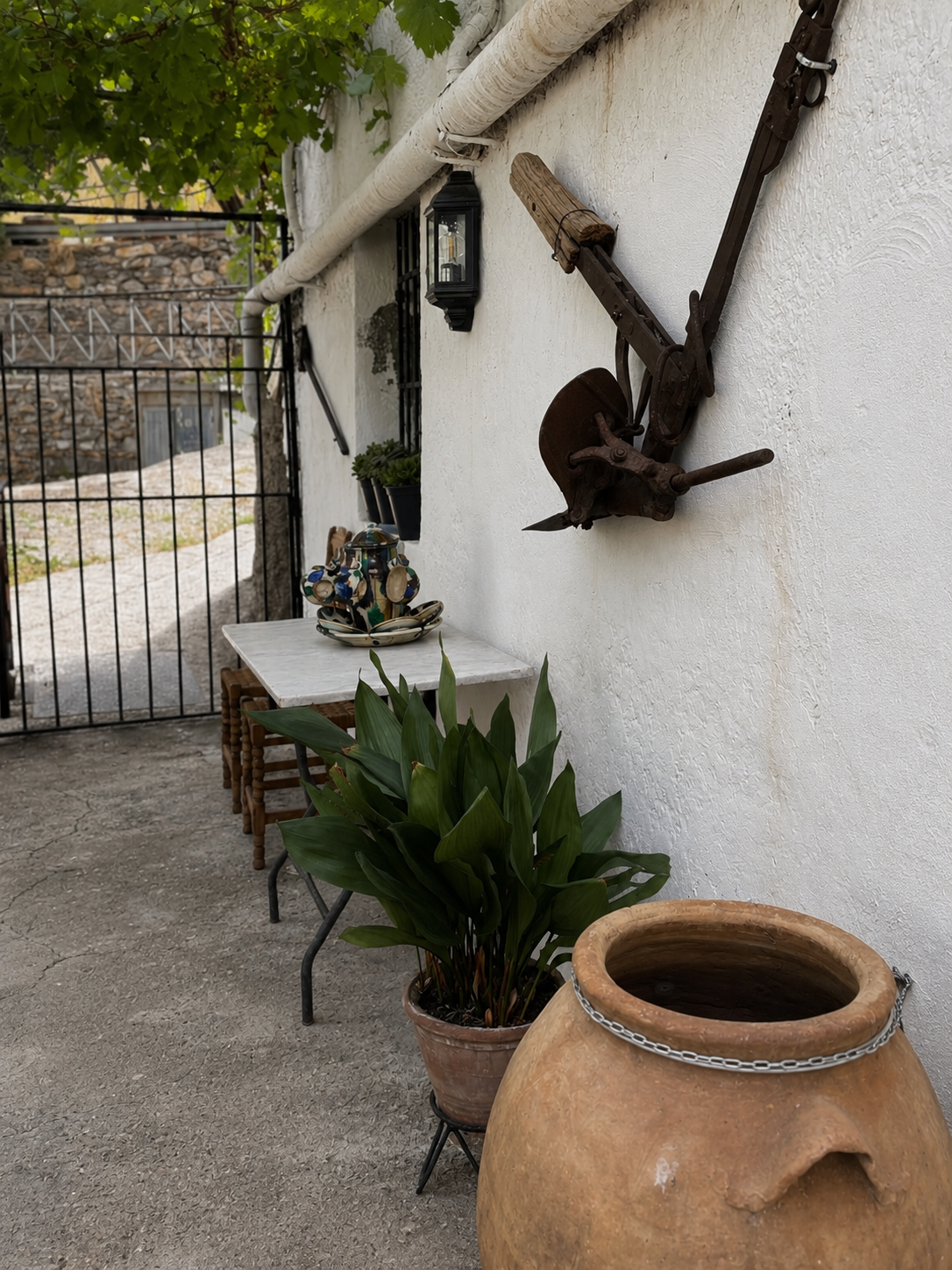 Terraza