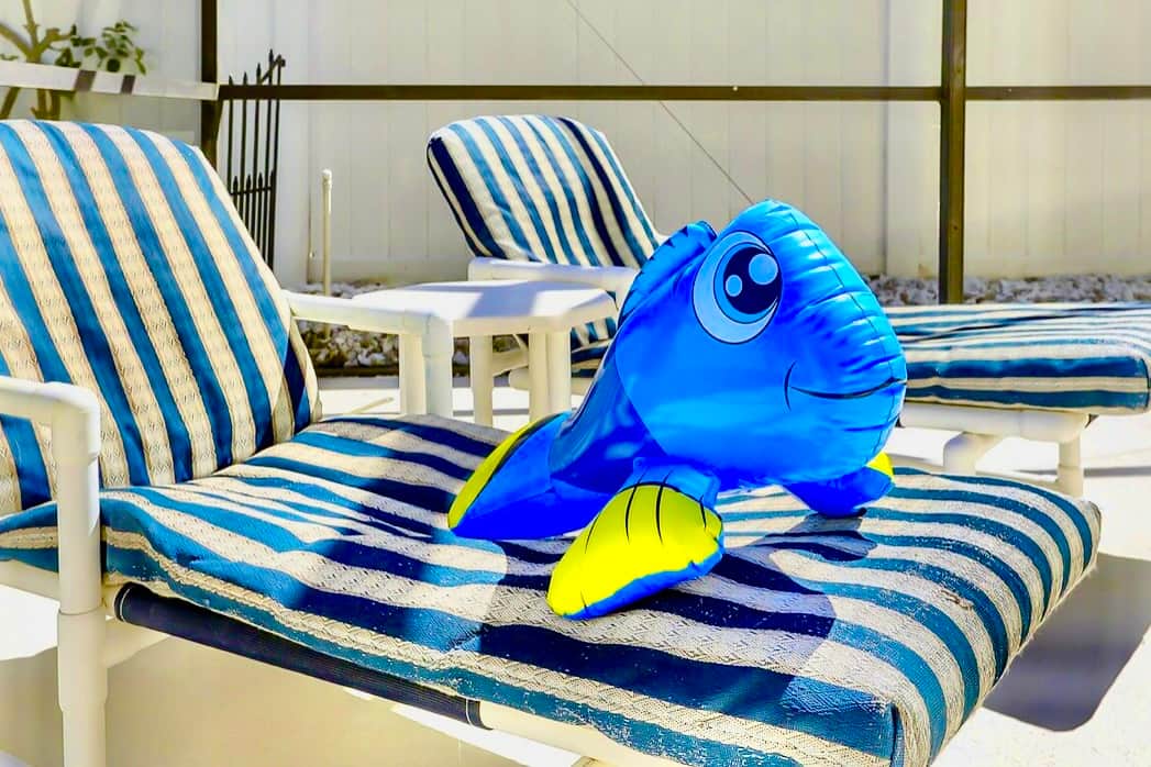A friend for the pool