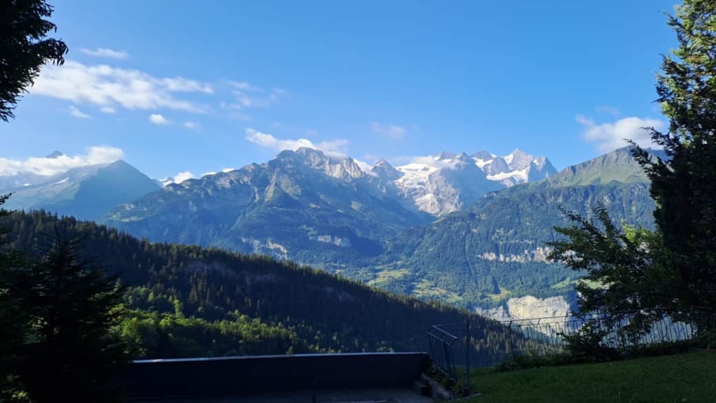Morgenstimmung im Sommer