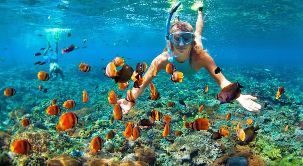 Snorkeling Tour Cano Island