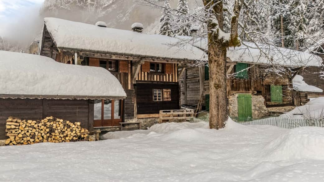 Chalet Truman (rear)
