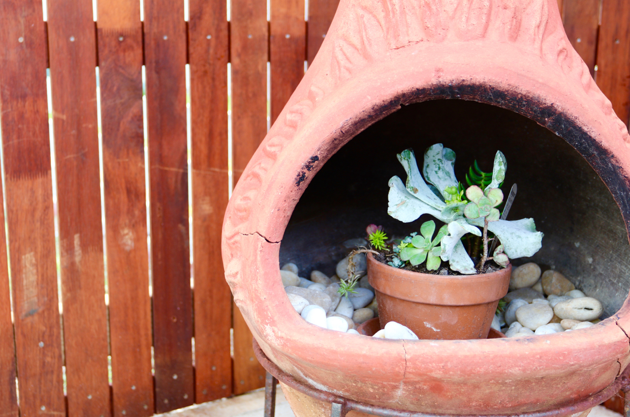 Robe, South Australia